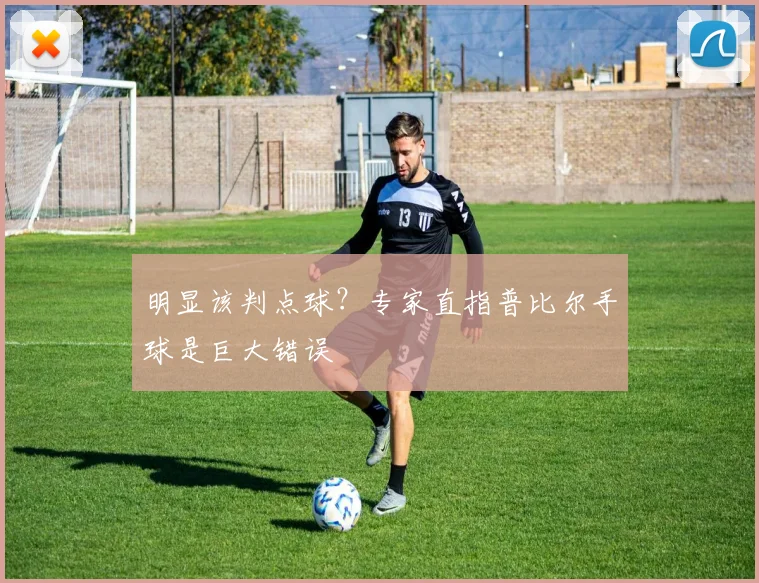 明显该判点球？专家直指普比尔手球是巨大错误